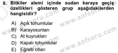 Genel Biyoloji 1 Dersi 2017 - 2018 Yılı 3 Ders Sınavı 8. Soru