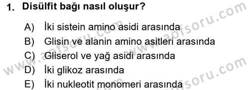 Genel Biyoloji 1 Dersi 2017 - 2018 Yılı (Vize) Ara Sınavı 1. Soru