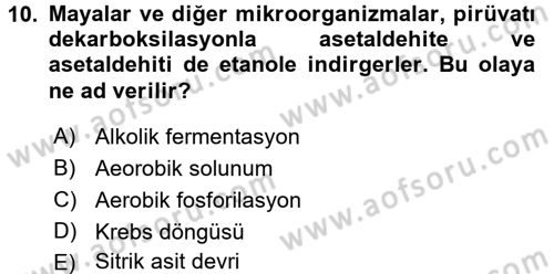 Genel Biyoloji 1 Dersi 2017 - 2018 Yılı (Vize) Ara Sınavı 10. Soru