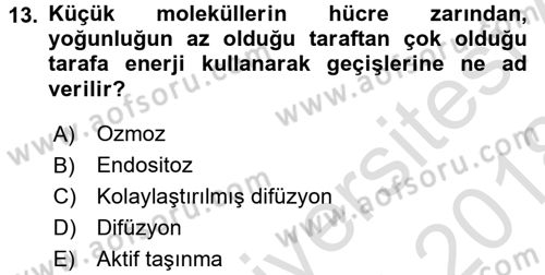 Genel Biyoloji 1 Dersi 2017 - 2018 Yılı (Vize) Ara Sınavı 13. Soru