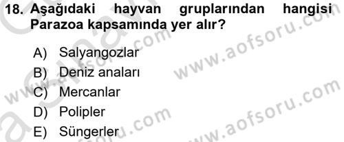 Genel Biyoloji 1 Dersi 2017 - 2018 Yılı (Vize) Ara Sınavı 18. Soru