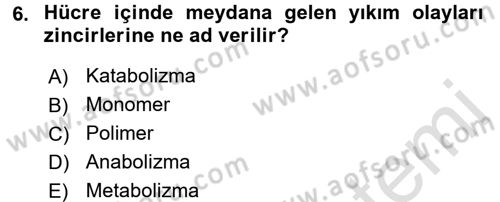 Genel Biyoloji 1 Dersi 2017 - 2018 Yılı (Vize) Ara Sınavı 6. Soru