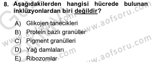 Genel Biyoloji 1 Dersi 2017 - 2018 Yılı (Vize) Ara Sınavı 8. Soru