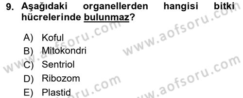 Genel Biyoloji 1 Dersi 2017 - 2018 Yılı (Vize) Ara Sınavı 9. Soru