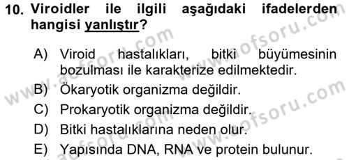 Genel Biyoloji 1 Dersi 2017 - 2018 Yılı (Final) Dönem Sonu Sınavı 10. Soru