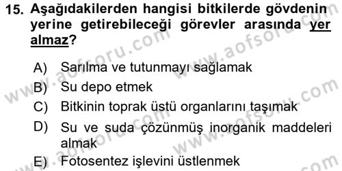 Genel Biyoloji 1 Dersi 2017 - 2018 Yılı (Final) Dönem Sonu Sınavı 15. Soru