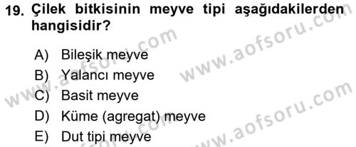 Genel Biyoloji 1 Dersi 2017 - 2018 Yılı (Final) Dönem Sonu Sınavı 19. Soru