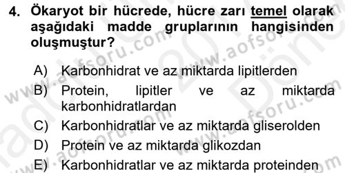 Genel Biyoloji 1 Dersi 2017 - 2018 Yılı (Final) Dönem Sonu Sınavı 4. Soru