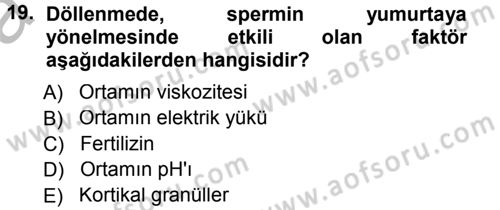 Genel Biyoloji 2 Dersi 2012 - 2013 Yılı (Vize) Ara Sınavı 19. Soru