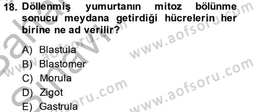 Genel Biyoloji 2 Dersi 2014 - 2015 Yılı (Vize) Ara Sınavı 18. Soru