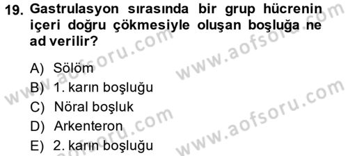 Genel Biyoloji 2 Dersi 2014 - 2015 Yılı (Vize) Ara Sınavı 19. Soru