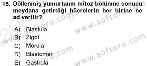 Genel Biyoloji 2 Dersi 2015 - 2016 Yılı (Vize) Ara Sınavı 15. Soru