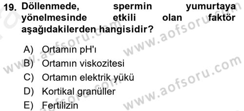 Genel Biyoloji 2 Dersi 2015 - 2016 Yılı (Vize) Ara Sınavı 19. Soru