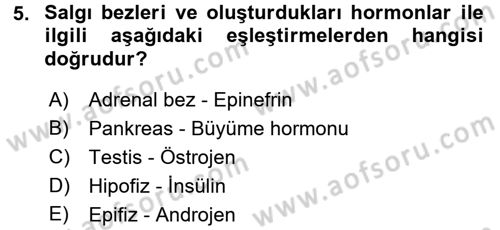 Genel Biyoloji 2 Dersi 2015 - 2016 Yılı (Vize) Ara Sınavı 5. Soru