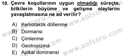 Genel Biyoloji 2 Dersi 2016 - 2017 Yılı (Vize) Ara Sınavı 10. Soru