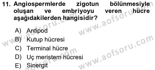 Genel Biyoloji 2 Dersi 2016 - 2017 Yılı (Vize) Ara Sınavı 11. Soru