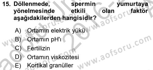 Genel Biyoloji 2 Dersi 2016 - 2017 Yılı (Vize) Ara Sınavı 15. Soru