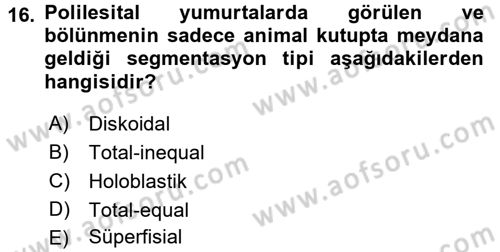 Genel Biyoloji 2 Dersi 2016 - 2017 Yılı (Vize) Ara Sınavı 16. Soru