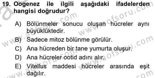 Genel Biyoloji 2 Dersi 2016 - 2017 Yılı (Vize) Ara Sınavı 19. Soru