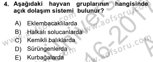 Genel Biyoloji 2 Dersi 2016 - 2017 Yılı (Vize) Ara Sınavı 4. Soru