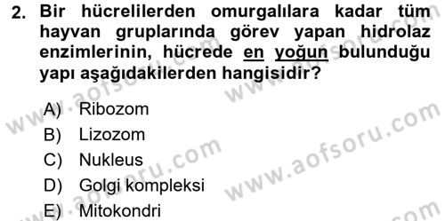 Genel Biyoloji 2 Dersi 2016 - 2017 Yılı (Final) Dönem Sonu Sınavı 2. Soru