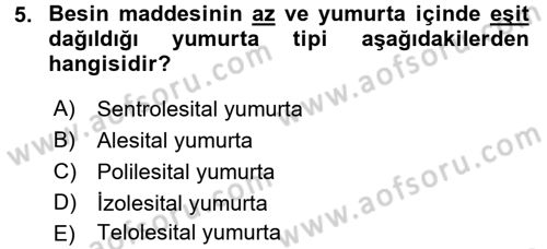 Genel Biyoloji 2 Dersi 2016 - 2017 Yılı (Final) Dönem Sonu Sınavı 5. Soru