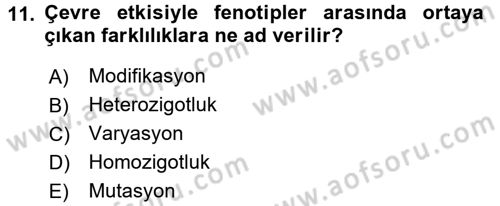 Genel Biyoloji 2 Dersi 2017 - 2018 Yılı 3 Ders Sınavı 11. Soru