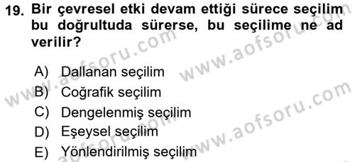 Genel Biyoloji 2 Dersi 2017 - 2018 Yılı 3 Ders Sınavı 19. Soru