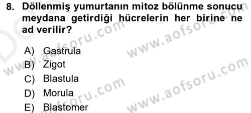 Genel Biyoloji 2 Dersi 2017 - 2018 Yılı 3 Ders Sınavı 8. Soru