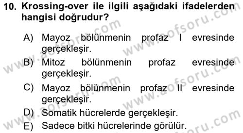 Genel Biyoloji 2 Dersi 2017 - 2018 Yılı (Vize) Ara Sınavı 10. Soru