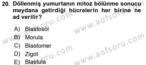 Genel Biyoloji 2 Dersi 2017 - 2018 Yılı (Vize) Ara Sınavı 20. Soru