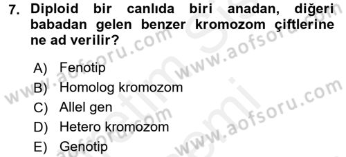 Genel Biyoloji 2 Dersi 2017 - 2018 Yılı (Final) Dönem Sonu Sınavı 7. Soru