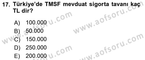 Bankacılık Hizmet Ürünleri Dersi 2018 - 2019 Yılı (Vize) Ara Sınav Soruları 17. Soru