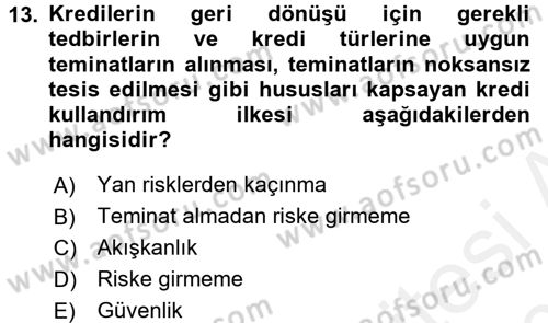 Bankalarda Kredi Yönetimi Dersi 2015 - 2016 Yılı Tek Ders Sınav Soruları 13. Soru