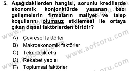 Bankalarda Kredi Yönetimi Dersi 2015 - 2016 Yılı Tek Ders Sınav Soruları 5. Soru