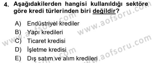 Bankalarda Kredi Yönetimi Dersi 2017 - 2018 Yılı (Vize) Ara Sınavı 4. Soru