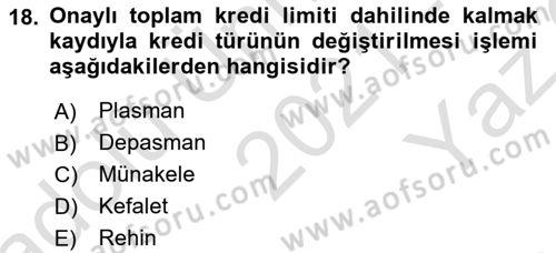 Bankalarda Kredi Yönetimi Dersi 2021 - 2022 Yılı Yaz Okulu Sınav Soruları 18. Soru