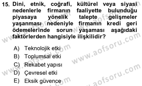 Bankalarda Kredi Yönetimi Dersi 2023 - 2024 Yılı Yaz Okulu Sınav Soruları 15. Soru