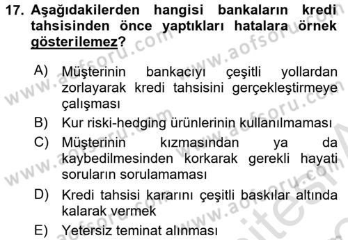 Bankalarda Kredi Yönetimi Dersi 2023 - 2024 Yılı Yaz Okulu Sınav Soruları 17. Soru