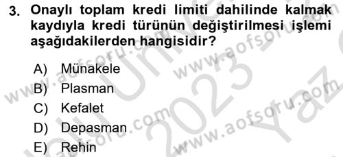 Bankalarda Kredi Yönetimi Dersi 2023 - 2024 Yılı Yaz Okulu Sınav Soruları 3. Soru
