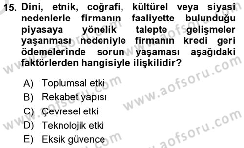 Bankalarda Kredi Yönetimi Dersi 2024 - 2025 Yılı Yaz Okulu Sınav Soruları 15. Soru
