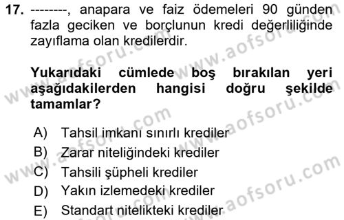 Bankalarda Kredi Yönetimi Dersi 2024 - 2025 Yılı Yaz Okulu Sınav Soruları 17. Soru