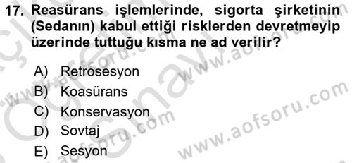 Banka Ve Sigorta Muhasebesi Dersi 2024 - 2025 Yılı Yaz Okulu Sınav Soruları 17. Soru