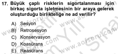 Banka Ve Sigorta Muhasebesi Dersi 2025 - 2026 Yılı (Final) Dönem Sonu Sınav Soruları 17. Soru