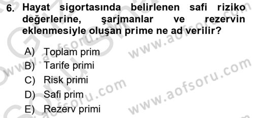 Hayat Sigortaları Ve Bireysel Emeklilik Sistemi Dersi 2022 - 2023 Yılı (Final) Dönem Sonu Sınav Soruları 6. Soru