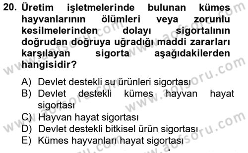 Hayat Dışı Sigortalar Dersi 2012 - 2013 Yılı (Vize) Ara Sınav Soruları 20. Soru