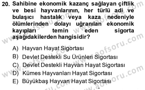 Hayat Dışı Sigortalar Dersi 2014 - 2015 Yılı (Vize) Ara Sınav Soruları 20. Soru