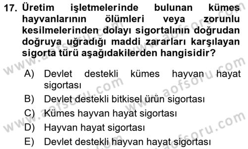 Hayat Dışı Sigortalar Dersi 2017 - 2018 Yılı (Vize) Ara Sınav Soruları 17. Soru