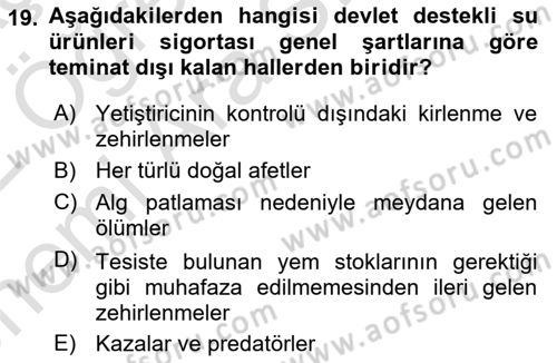 Hayat Dışı Sigortalar Dersi 2021 - 2022 Yılı (Vize) Ara Sınav Soruları 19. Soru