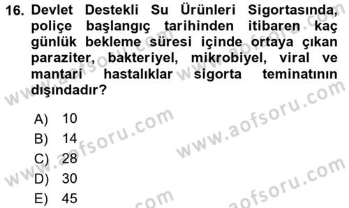 Hayat Dışı Sigortalar Dersi 2023 - 2024 Yılı (Vize) Ara Sınav Soruları 16. Soru